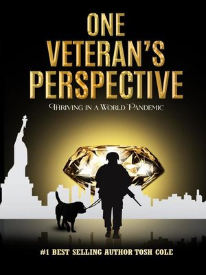 cover image of One Veteran's Perspective